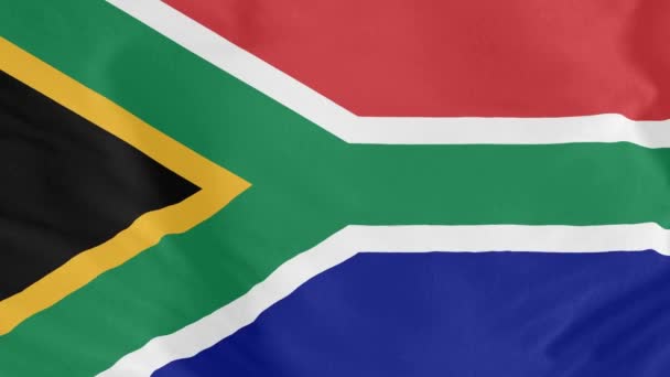 Sydafrika Flagga Viftar Vinden Med Hög Kvalitet Textur National Flag — Stockvideo