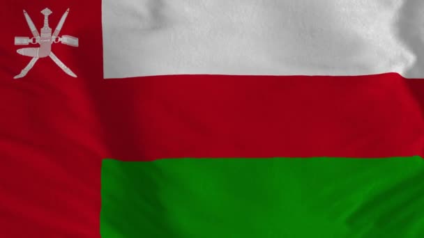 Oman National Flag Bezešvé Smyčky Animace Omanské Vlajky — Stock video
