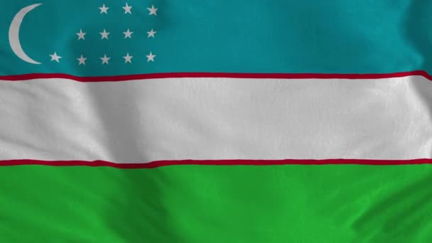 Εθνική Σημαία Ουζμπεκιστάν Απρόσκοπτη Κίνηση Βρόχο Της Σημαίας Του Ουζμπεκιστάν — Αρχείο Βίντεο