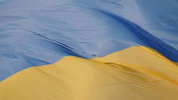 フラグは 風の中で自然の屋外の背景に手を振る ウクライナ国旗風国を振って — ストック動画