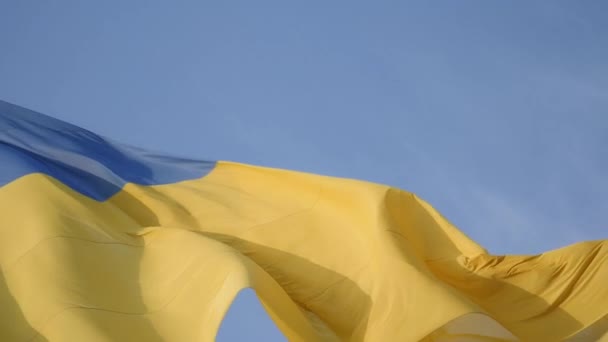 Флаг Размахивающий Ветру Открытом Фоне Природы Флаг Украины Ветер Размахивает — стоковое видео