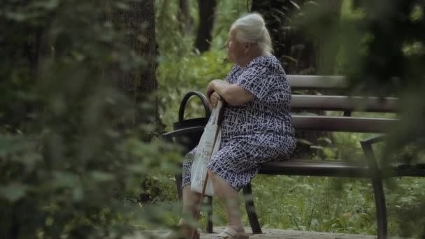 Disfrutando Jubilación Parque Tranquilidad Mujer Pacífica — Vídeo de stock
