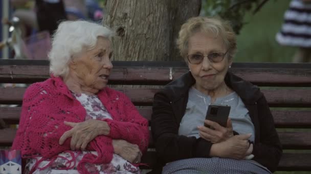 Dos Ancianas Están Hablando Gente Jubilada Sentada Banco Parque — Vídeo de stock