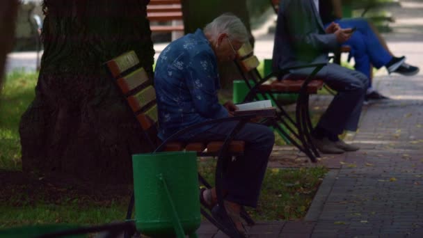 Una Anciana Con Libro Pensionista Con Libro Sus Manos Mujer — Vídeo de stock