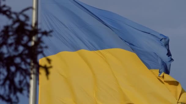 Doğanın Arka Planında Rüzgarda Dalgalanan Bayrak Ukrayna Bayrağının Dalgalanan Ulusal — Stok video