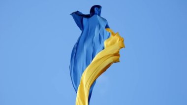 rüzgarda sallayarak Ukrayna bayrağı.