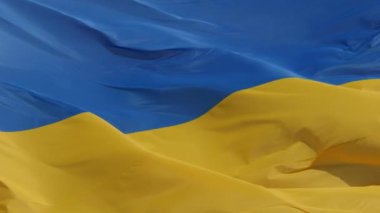 rüzgarda sallayarak Ukrayna bayrağı.