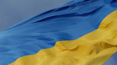 rüzgarda sallayarak Ukrayna bayrağı.