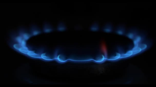 Газову Плиту Вмикає Запалювач Природний Газ Вогонь Підсвічується Печі — стокове відео