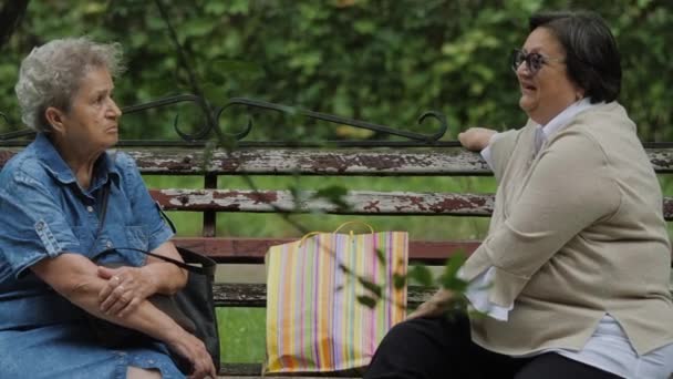 2人の老婦人が話している 公園のベンチに座っている退職者 老婦人が集まりました — ストック動画
