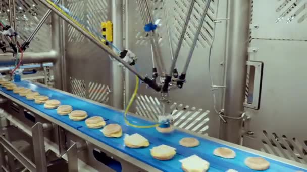 Szállítószalag Gyártósor Ipari Feldolgozás Automatizált Élelmiszergyár Húsipari Termékek Gyártása — Stock videók