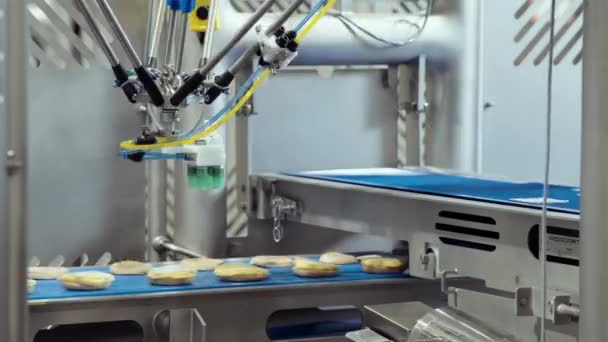 Linha Transporte Linha Produção Processamento Industrial Fábrica Alimentos Automatizada — Vídeo de Stock