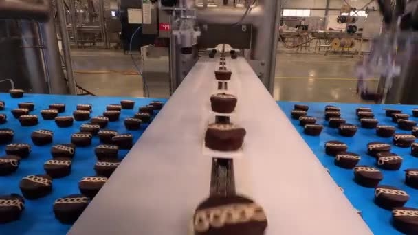 Конвеєрна Лінія Виробнича Лінія Промислова Обробка Автоматизована Харчова Фабрика — стокове відео