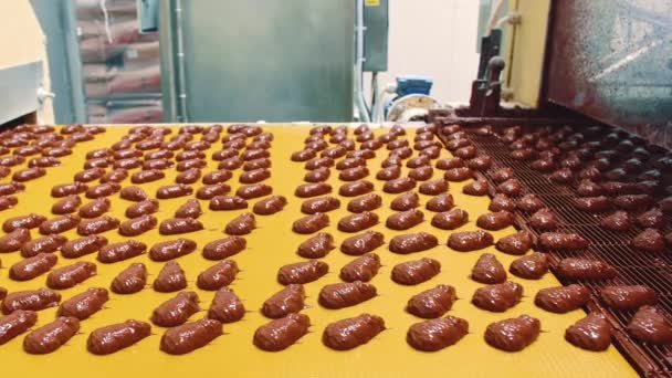 Dopravní Pás Továrně Čokoládu Výroba Cukrovinek — Stock video