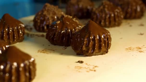 Förderband Einer Schokoladenfabrik Süßwarenproduktion — Stockvideo