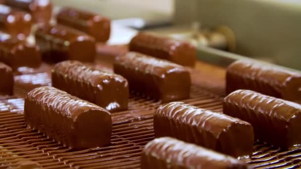 Dopravní Pás Továrně Čokoládu Výroba Cukrovinek — Stock video