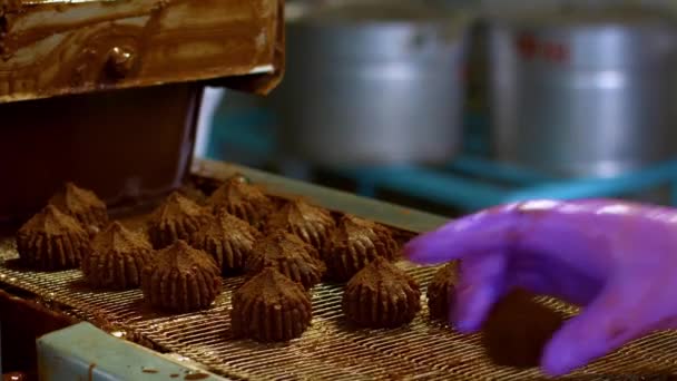 초콜릿 공장에서 컨베이어 — 비디오
