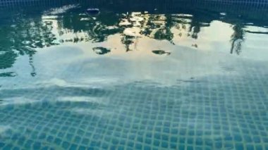 Ve yarış şeridi ayırıcıları, üst manzara. Yüzme havuzunda mavi su. Yüzmek için pist