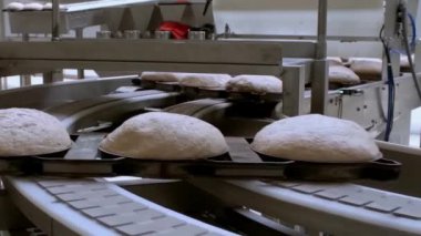 Taşıyıcı bantlı bir somun ile fırın ürünleri üretimi için otomatik hat, bir şekerleme fabrikasının atölyesinde ekipman, endüstriyel gıda üretimi. Fırında üretim fırını..