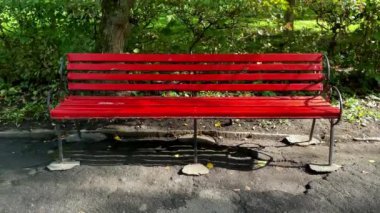 Sarı sonbahar ağaçlarının arkasındaki parkta bir bank.