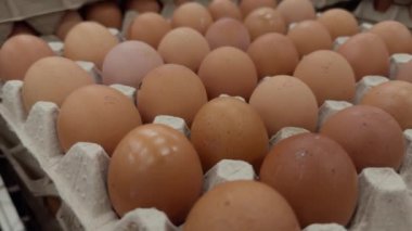 Süpermarketin rafında satılacak taze yumurtalarla dolu kartondan yumurta tepsisi kutuları. Yüksek kalite 4k görüntü
