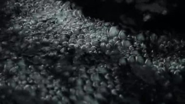 Yavaş çekimde baloncuklar yakın çekim. Yüksek kaliteli FullHD görüntüler