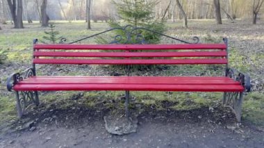 Canlı ve parlak kırmızı bir bank sakin ve huzurlu bir parkta, yemyeşil ağaçlar ve otlaklarla çevrili.