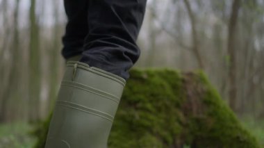 Huzurlu ve huzurlu bir ormanın ortasında, yosunlarla kaplı bir ağacın üzerinde düşünceli bir şekilde duran bir insan.