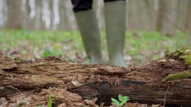 Parlak yeşil lastik çizmeler giyip, yeşil, gür yeşilliklerin arasında dikkatlice yürüyen bir insan.