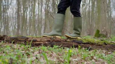 Huzurlu bir orman ortamında parlak yeşil lastik çizmeler giyen bir insan, güvenli bir şekilde bir kütüğün üzerinde yürür.