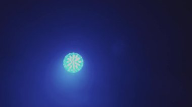 Canlı ve çekici ışık, ortam projeleri için ideal olan karanlık bir arkaplan karşısında çeşitli renkler sergiliyor