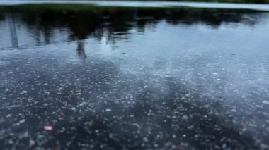 A calming and peaceful view of rain gently falling on a reflective surface, beautifully capturing the essence of nature
