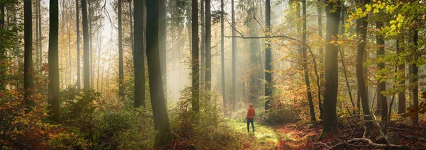 Fabulous Misty Autumn Scenery Forest Extra Wide Panorama Man Standing — Stock Photo, Image