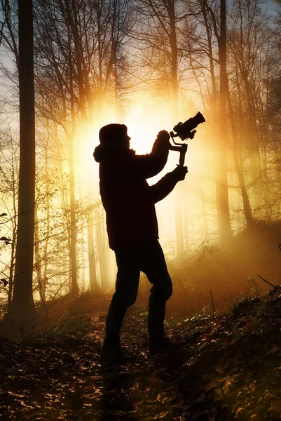 Silhouette Eines Kreativen Filmemachers Einem Nebligen Wald Dramatisch Hinterleuchtet Mit Stockbild