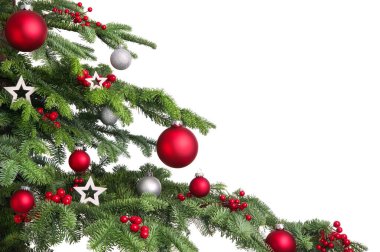 Beyaz arka planda Noel ağacı dalları. Kırmızı ve gümüş takılarla süslenmiş köknar dallarının yakın çekimi, beyaz üzerine izole edilmiş.