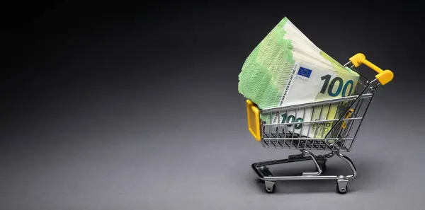 Money Miniature Shopping Cart Finance Concept Shot Bunch Euro Banknotes Imagen De Stock