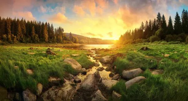 美丽的日出映衬着五彩斑斓的云彩 草地和水 映衬着金色的阳光 图库图片