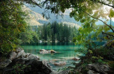 Almanya 'nın Bavyera kentindeki turkuaz göl cennetinin Idyllic manzarası. Sahneyi ağaç dalları ve kayalar çerçeveliyor.