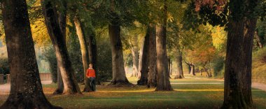 Genç adam yaşlı bir ağaca yaslanıyor ve güneşli bir sonbahar gününde sıcacık sonbahar renkleriyle Avrupa parkında doğanın güzelliğinin tadını çıkarıyor.