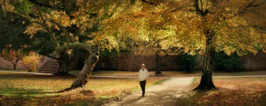 Sonbaharda manzaralı boş bir parkta, sarı yaprakları aydınlatan ve yolunu aydınlatan güneşli, sessiz ve yalnız bir yürüyüş yapan bir adam.