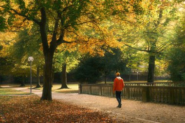 Ağaçların sarı ve yeşil yapraklarının altında yürüyorum Sonbaharda güzel boş bir parkta Yumuşak günışığıyla