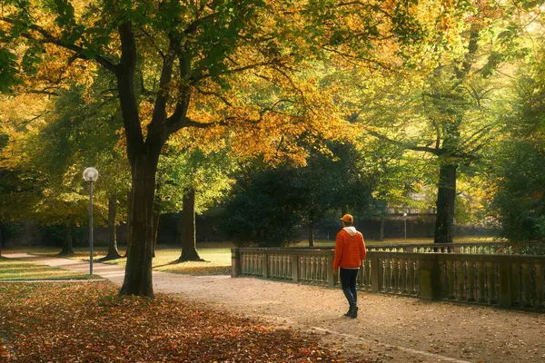 Ağaçların sarı ve yeşil yapraklarının altında yürüyorum Sonbaharda güzel boş bir parkta Yumuşak günışığıyla