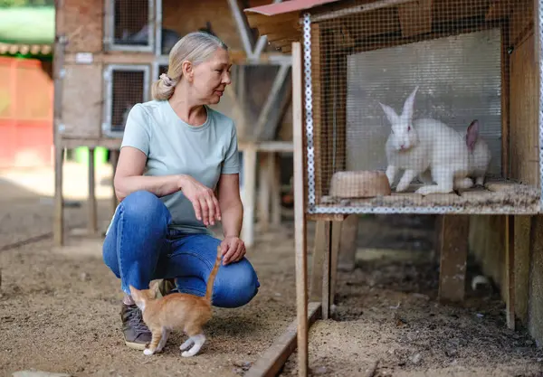 Adult Woman Farmer White Rabbits Her Farm Farmer Takes Care Stockfoto