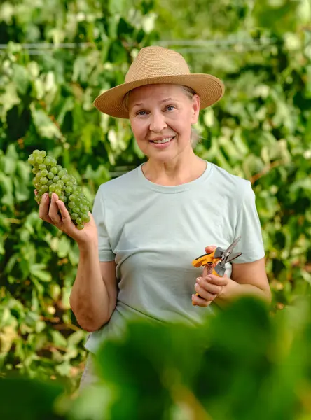 Vrouw Met Bos Druiven Plantage — Stockfoto