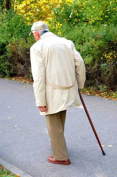 Пенсионеры Гуляют Парку — стоковое фото