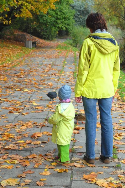 秋の公園を歩く子供を持つ女性 — ストック写真