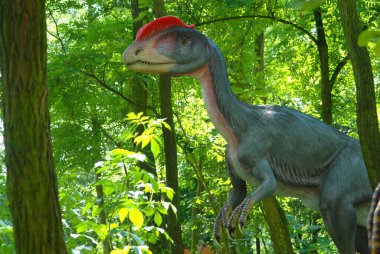 Dinozor Dilophosaur, Dilophosaurus Wetherilli Jurassic Park 'ta, dinozor serisi