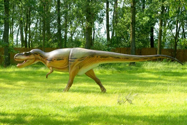 Dinozor Albertosaur, Albertosaurus kütüphanesi Jurassic Park 'ta, dinozor koleksiyonu