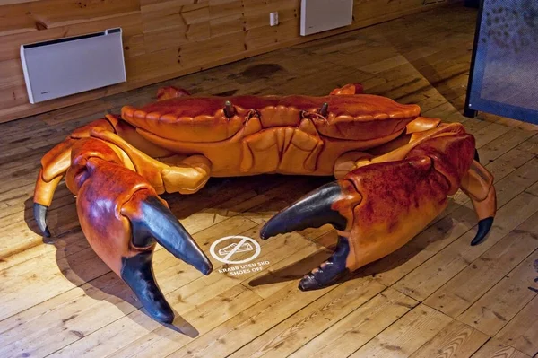Bergen Norway July 2018 巨蟹在挪威卑尔根渔业博物馆 Norges Fiskerimuseum — 图库照片
