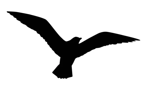 Ptačí Racek Ilustrace Bílém Pozadí — Stockový vektor